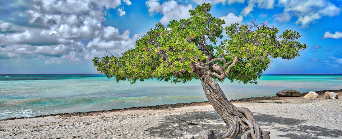 Aruba in September: Why the Quiet Month Is the Smart Month