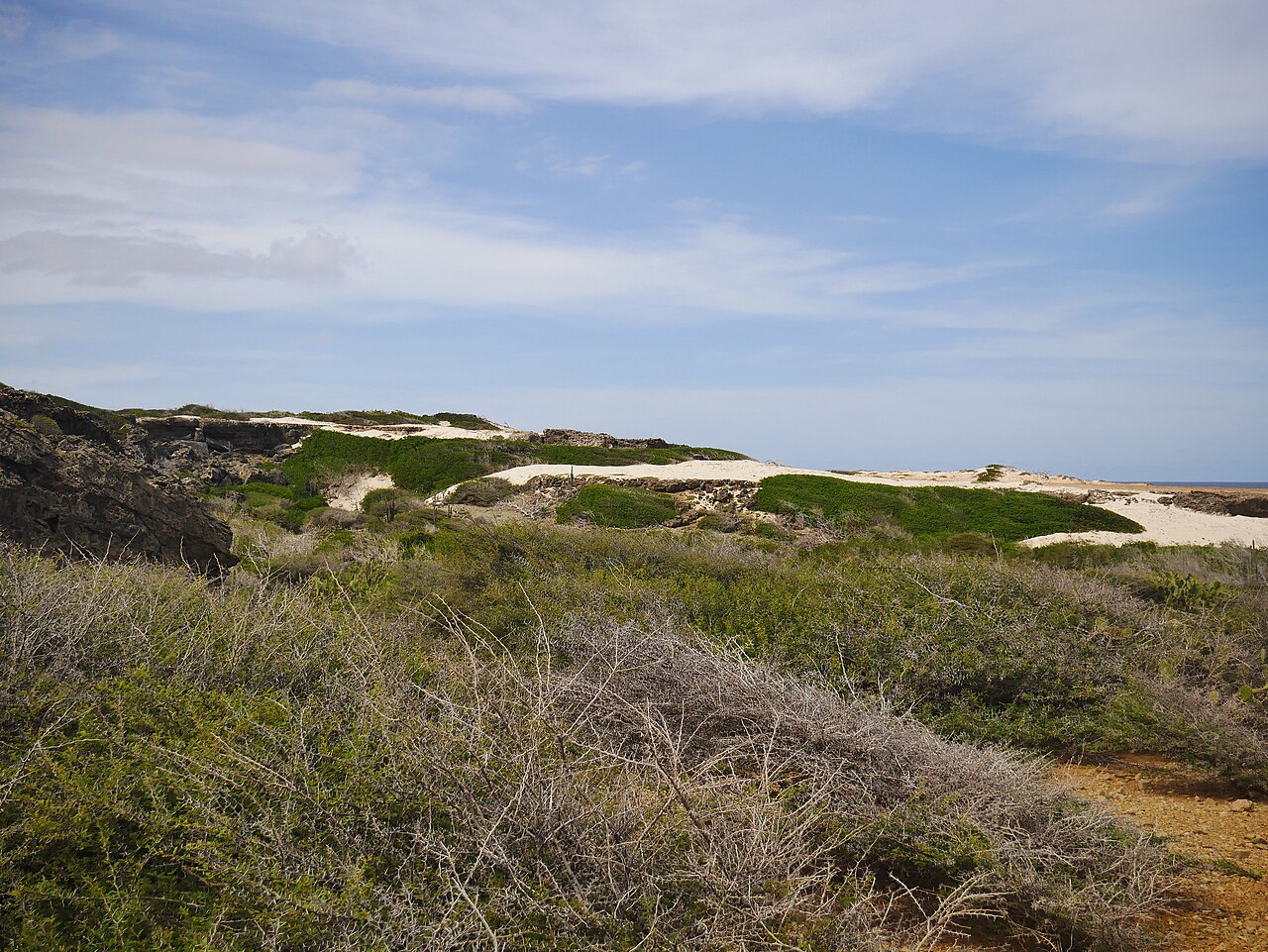 Aruba Jeep Tour Guide: Which Off-Road Day to Book