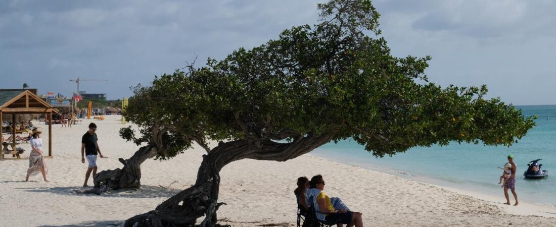Eagle Beach Aruba: The Caribbean’s #1 Beach, Done Right