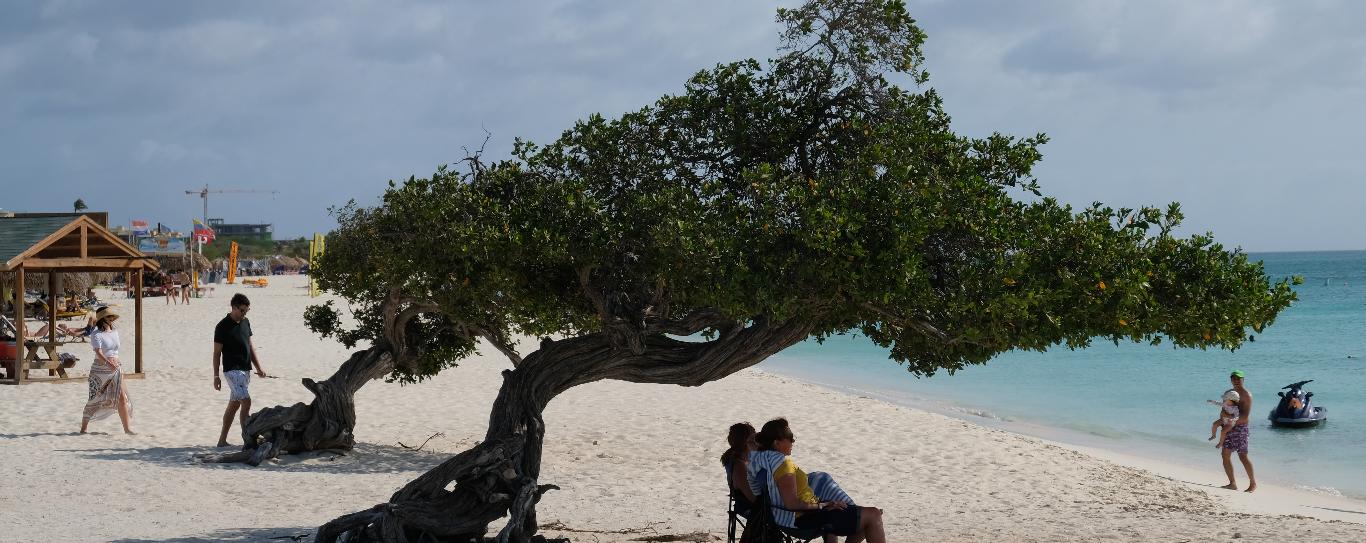 Eagle Beach Aruba: The Caribbean’s #1 Beach, Done Right
