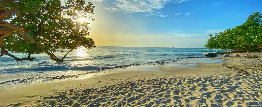 Aruba Sunscreen Ban: What You Can Bring (Reef-Safe Guide)