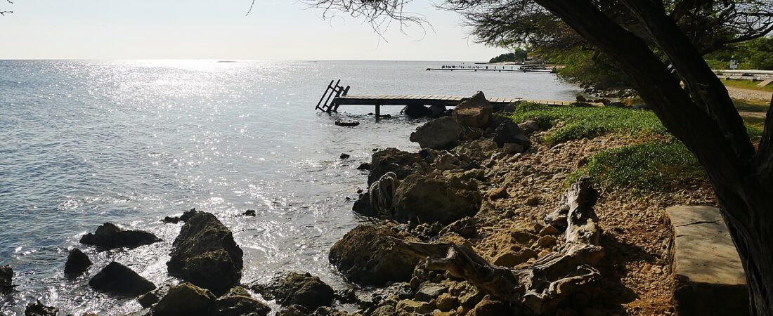Where Locals Eat in Aruba: 8 Spots Tourists Walk Right Past