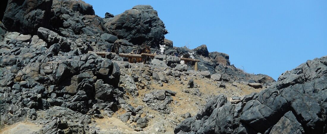 ABC Tours Aruba: The Family-Run Safari Institution