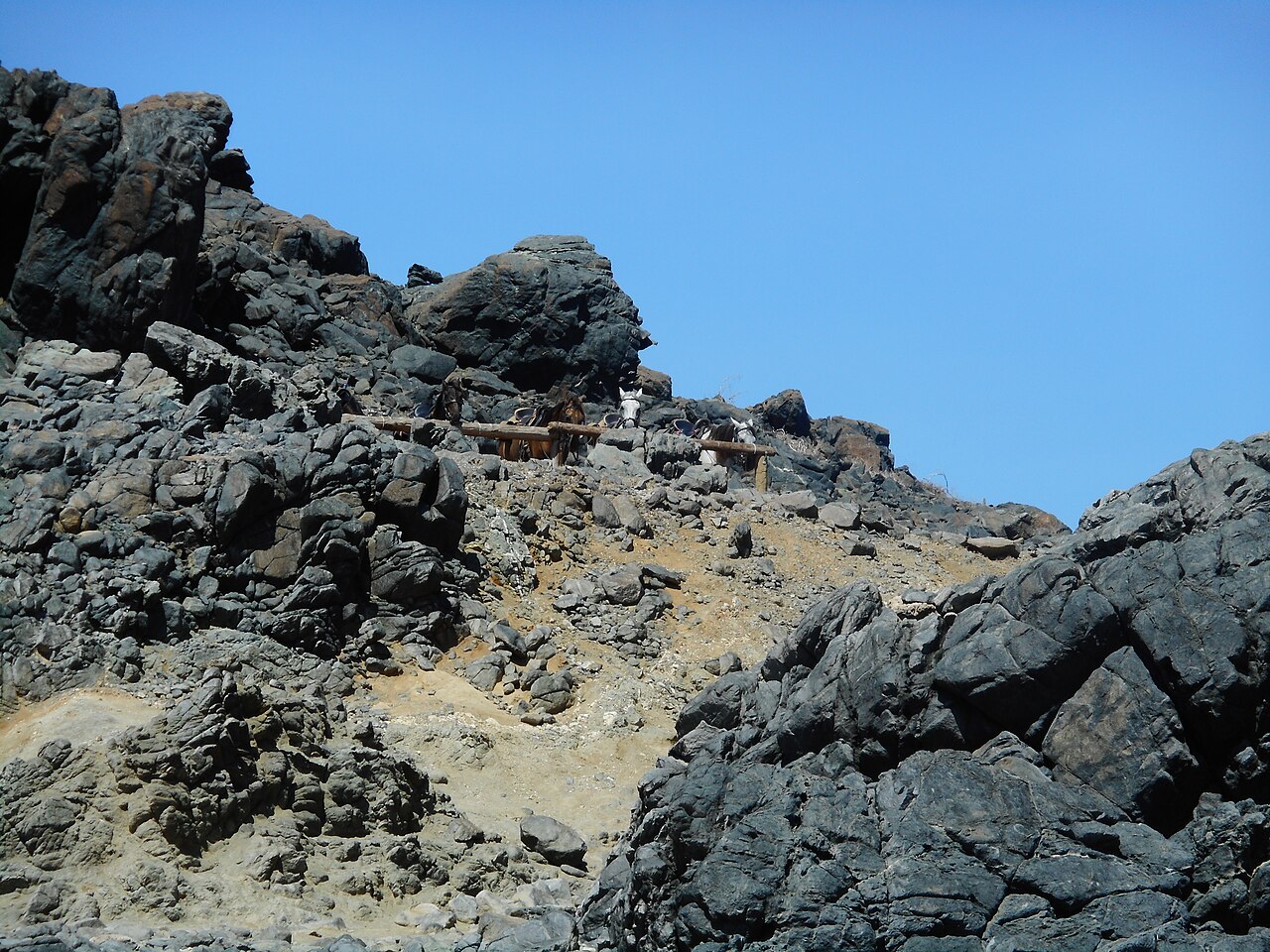 ABC Tours Aruba: The Family-Run Safari Institution