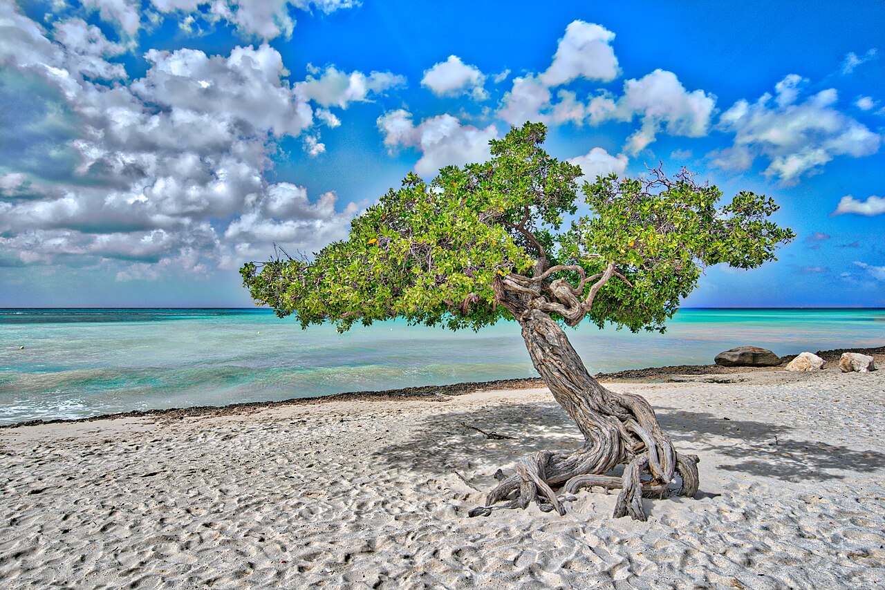 A quiet beach during Aruba in September