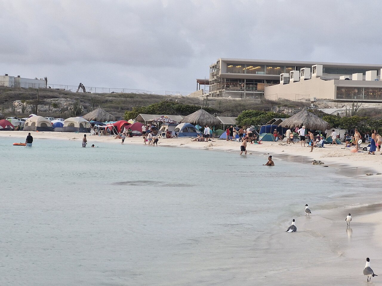 Shallow, calm water perfect for Aruba with toddlers