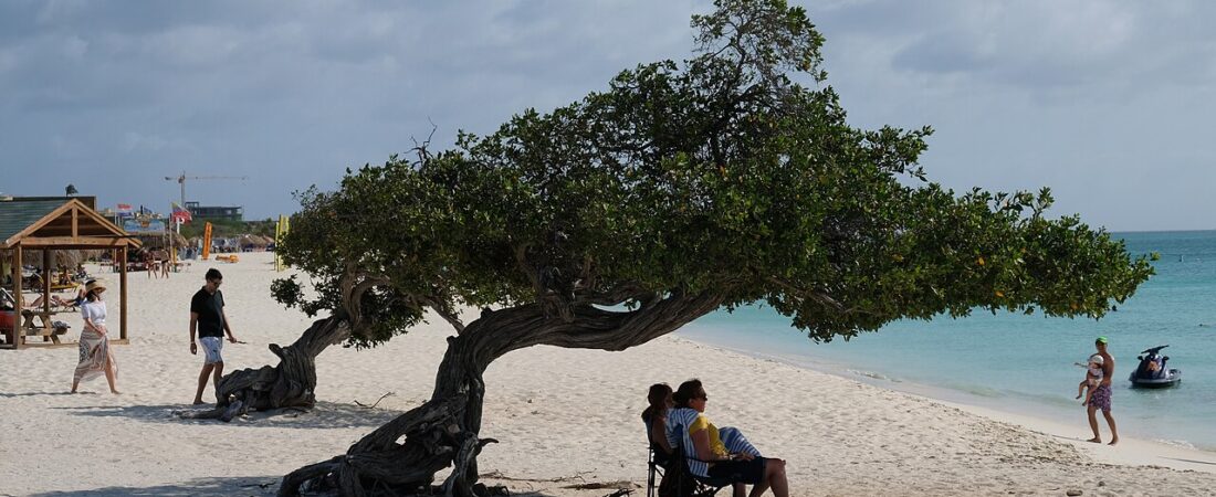 Eagle Beach Aruba Hotels: The Low-Rise Escape