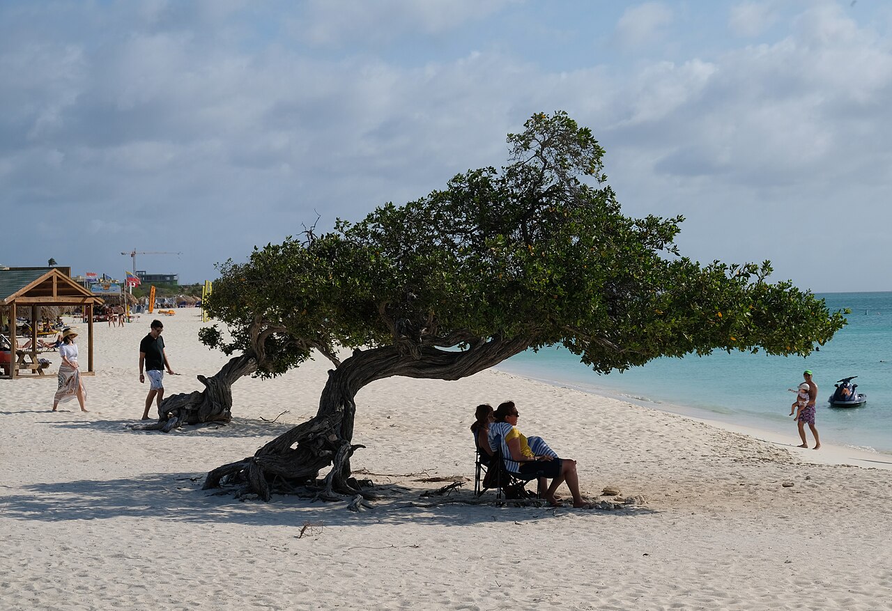 Eagle Beach on day one of our Aruba itineraries