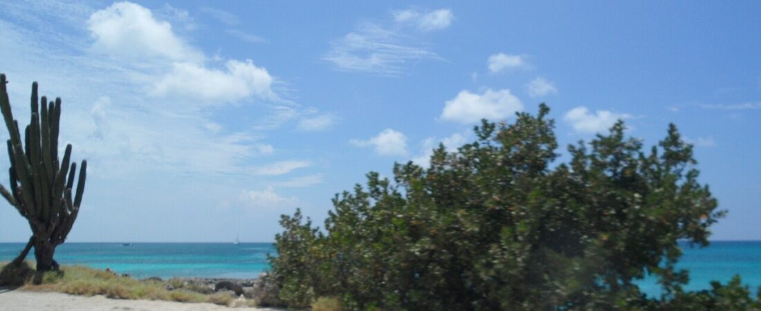 Malmok Beach Aruba: Rocky, Beautiful, and Built for Snorkeling