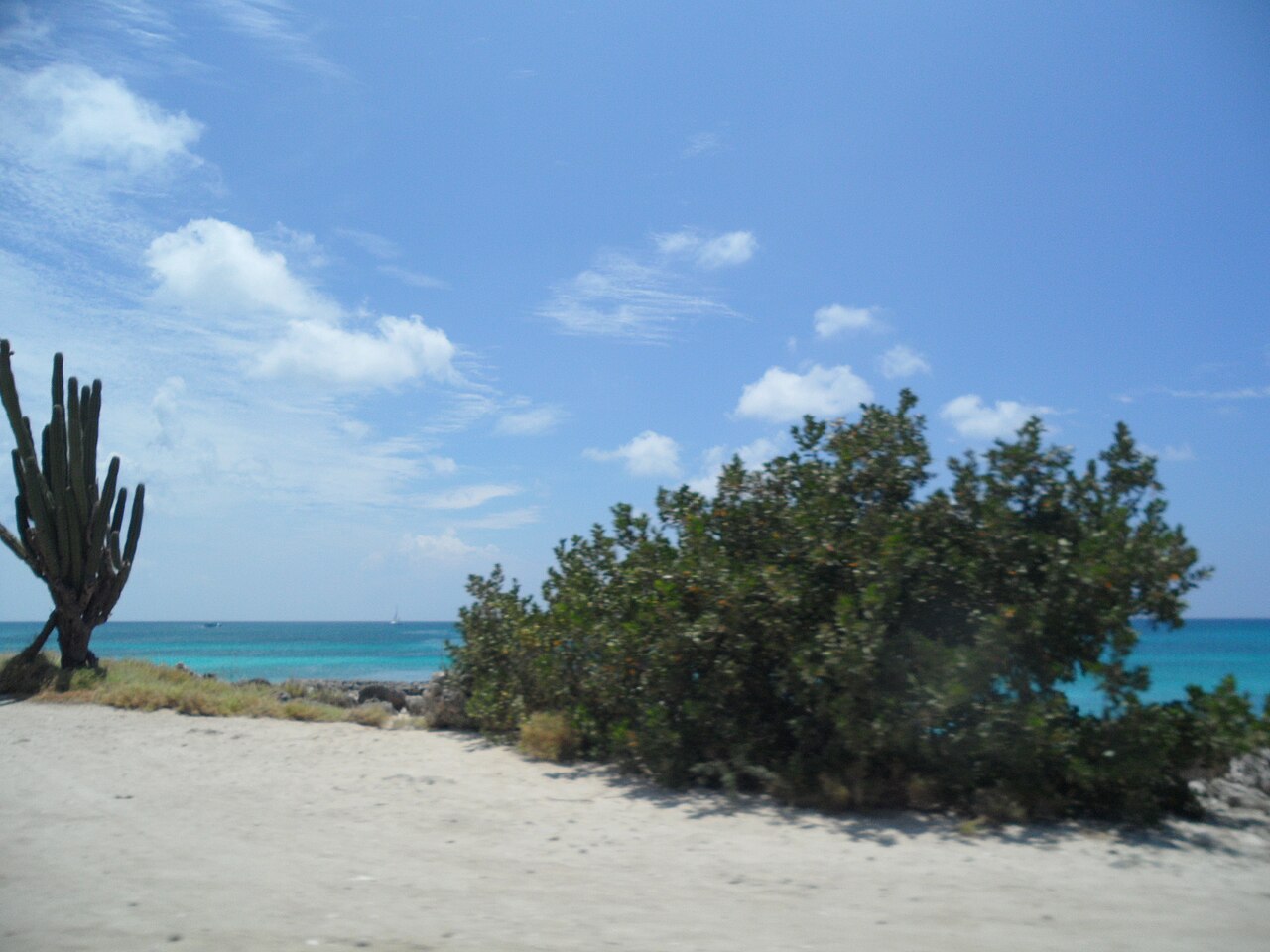 The clear rocky shoreline of Malmok Beach Aruba