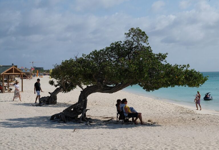 Eagle Beach scenery that inspires our Aruba merch designs