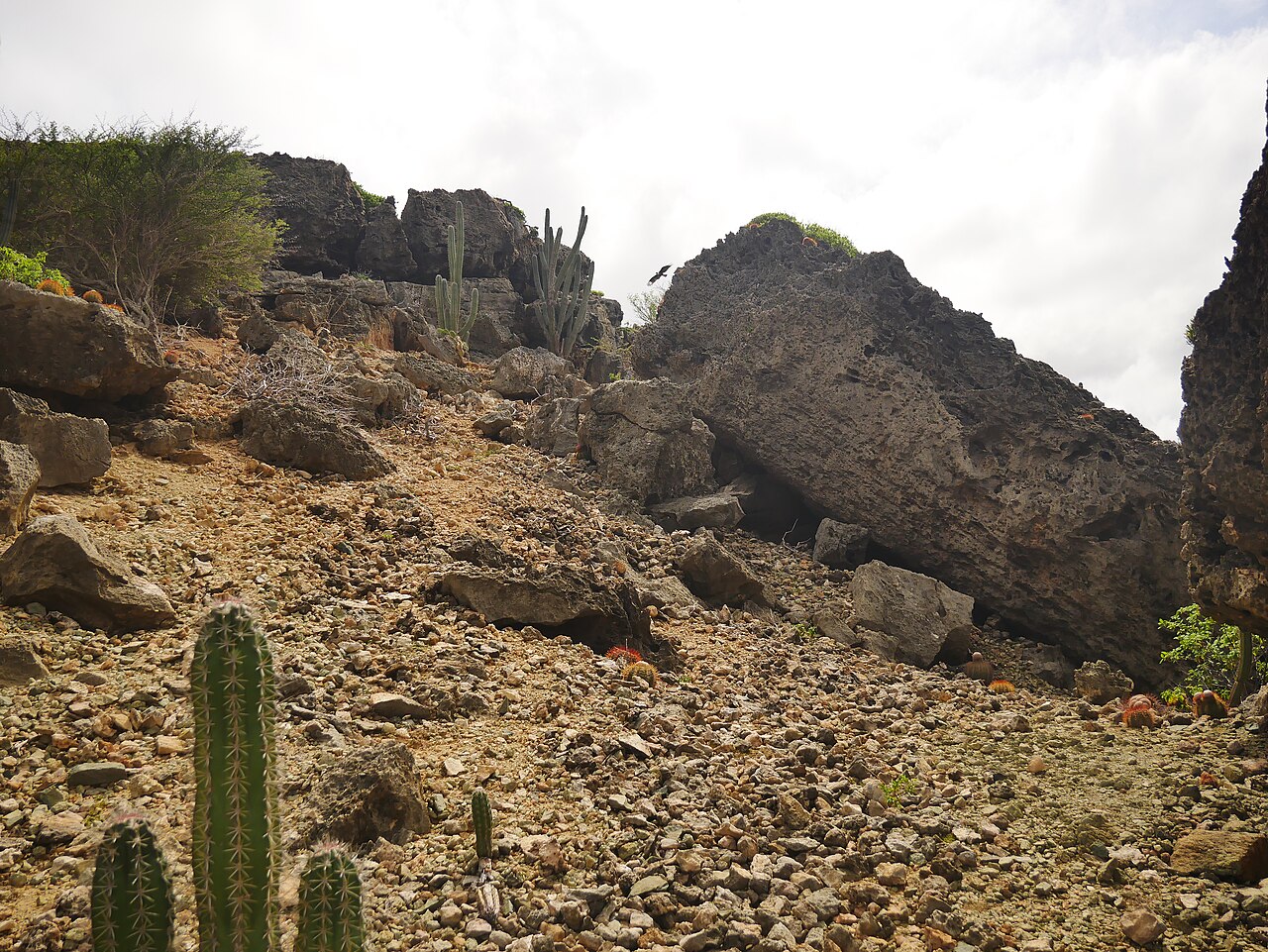Desert landscape of Arikok National Park, Aruba