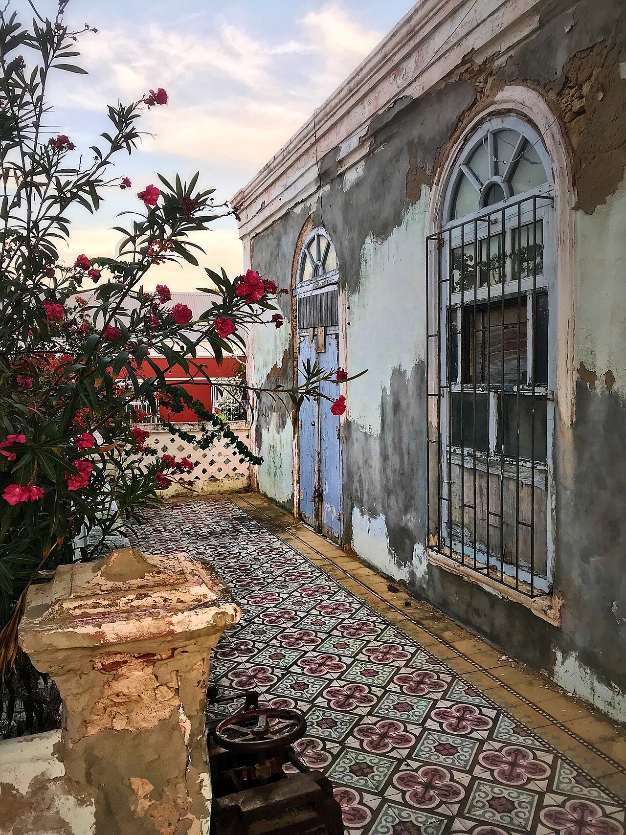 Aruba Currency & Money Guide: Florins, Dollars, and Tipping