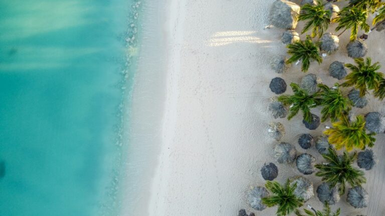 Aruba Island News: Week of September 19, 2026