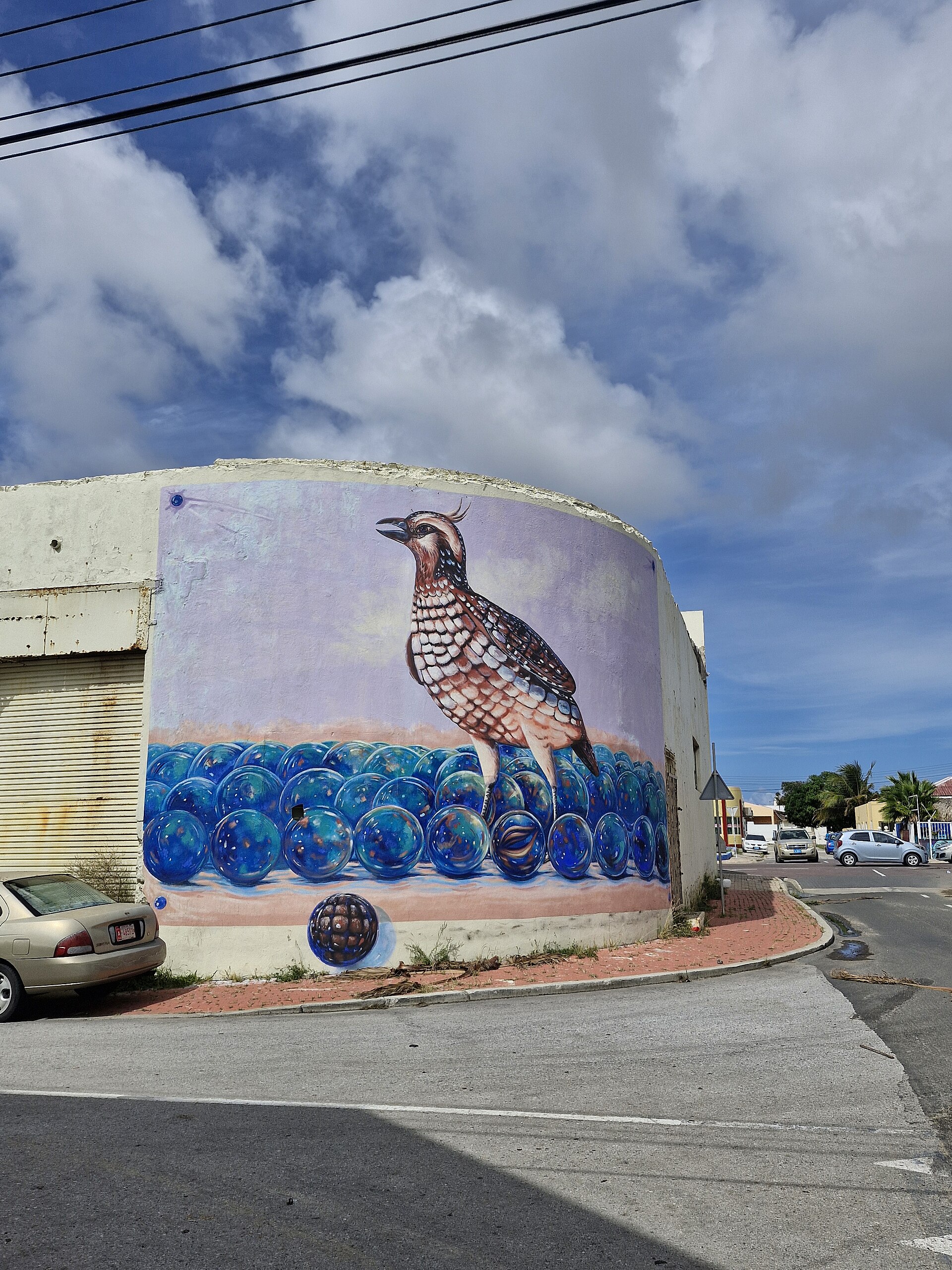 Aruba Island News: Week of September 12, 2026