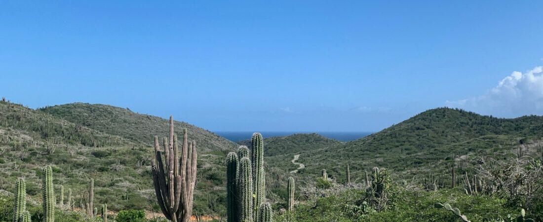 Hiking in Aruba: Best Trails, Natural Pool Hikes and Guided Tours