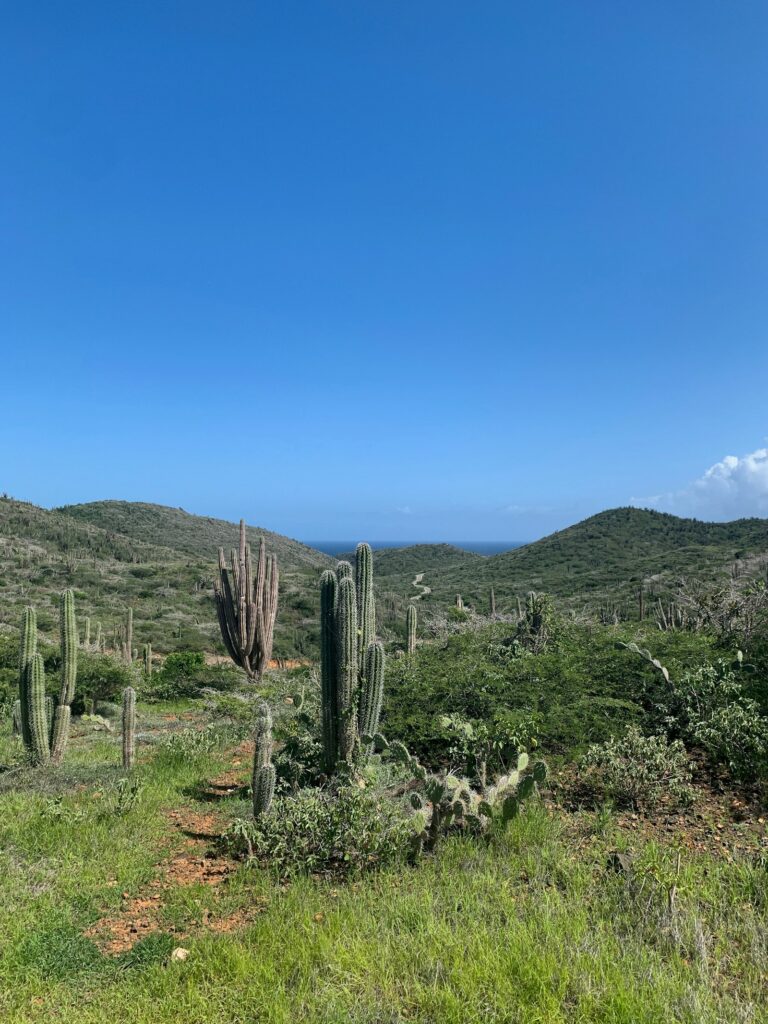 Hiking in Aruba: Best Trails, Natural Pool Hikes and Guided Tours
