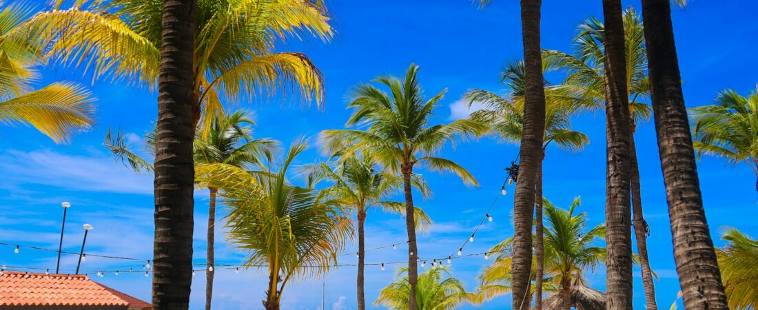 Can You Drink the Tap Water in Aruba? Yes, Here Is Why