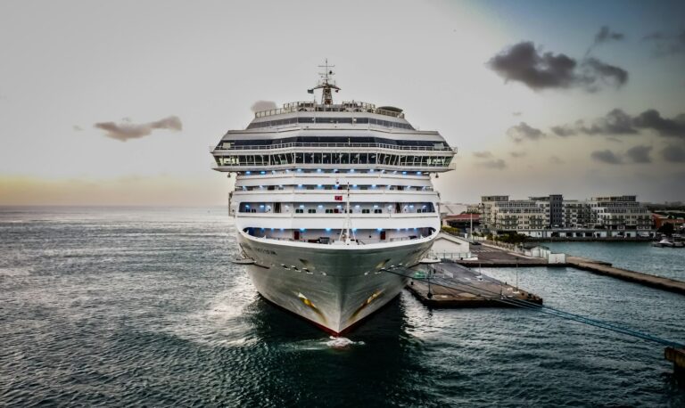 Shore excursions (cruise day)